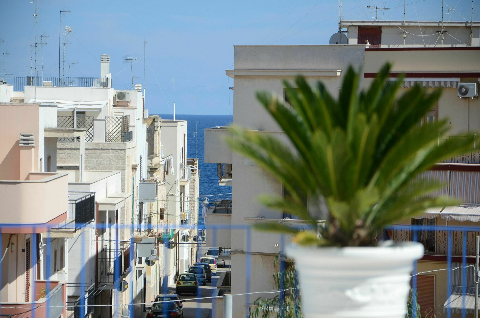 Dimora Petruzzelli Acomodação com café da manhã Polignano a Mare Exterior foto